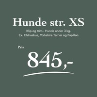 Hunde 0 - 3 kg